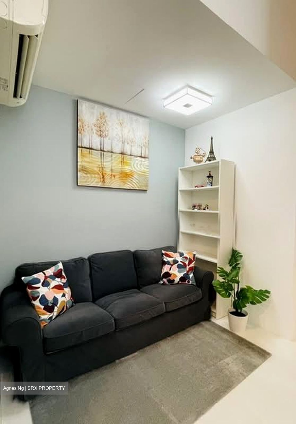 West Coast Drive (D5), Terrace #593692571